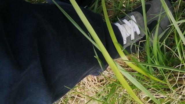 VID_20250519_125858.mp4