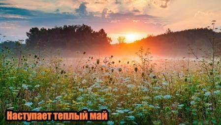 Илья(муз.DJSerJ76) Наступает теплый май