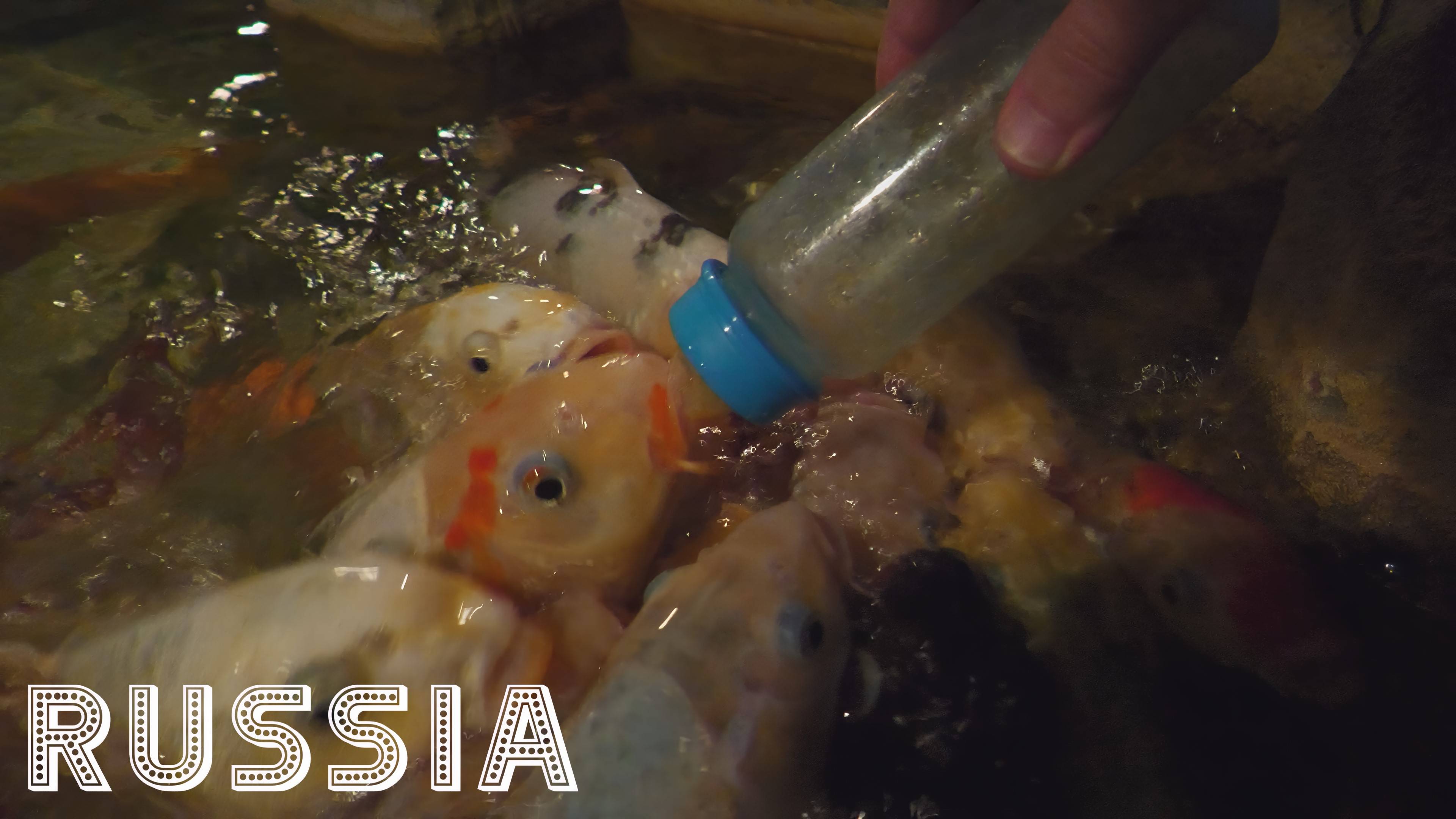 [RU] Красногорск: Пешеходная экскурсия [Рыба сосёт соску на бутылке / Panasonic HC-X1600]