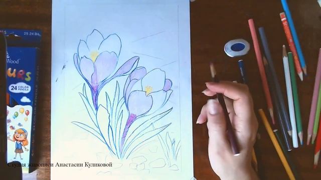 Превью мастер-класса "Рисуем Крокусы". Цветные карандаши