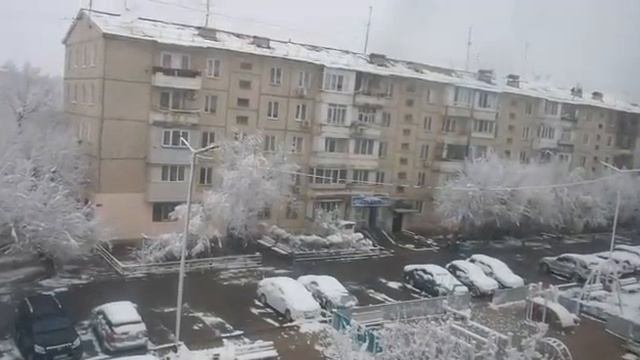 Во дворе иней покрыл деревья