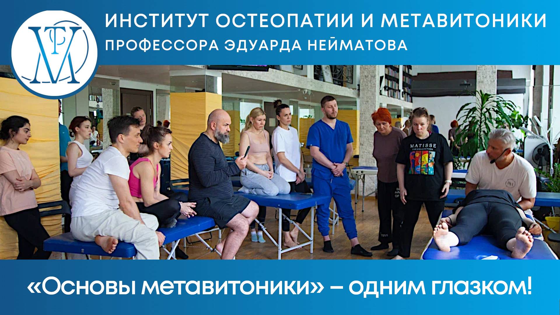 Основы метавитоники – одним глазком!