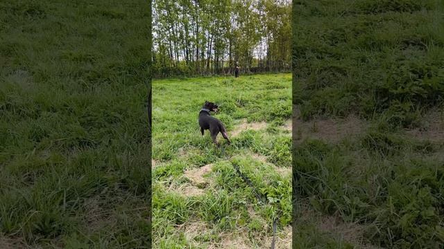 Торушка