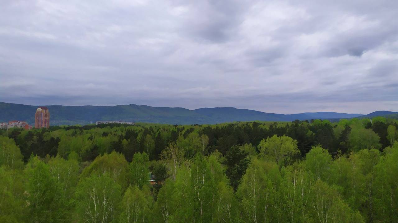 document_5278446808861798169