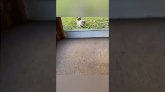 1000073302.mp4