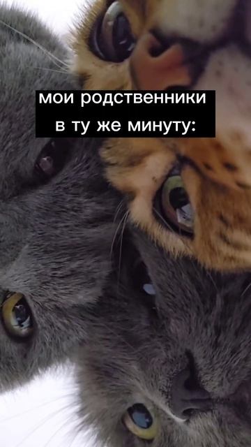 Личные границы и родственники