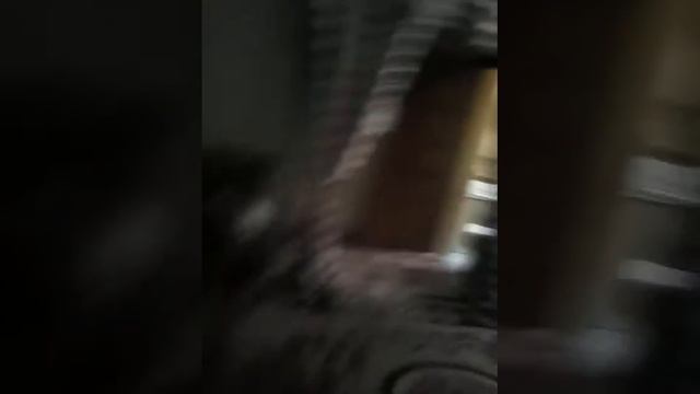 Как получить айфон подушкой