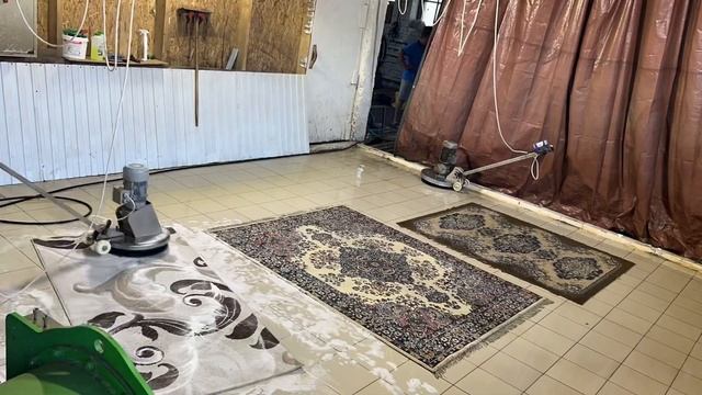 Сколько ковров можно постирать за 1 час? Смотри в этом ?