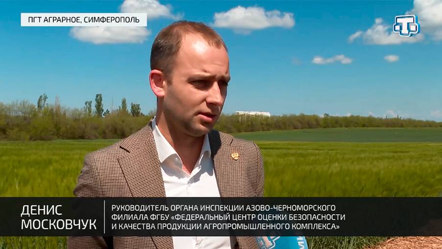 ТВ: В Крыму обсудили вопросы проведения госмониторинга пшеницы на «Дне поля-2025»