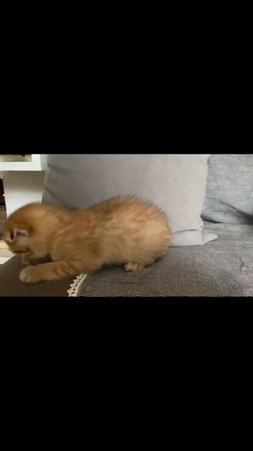 1000042612.mp4