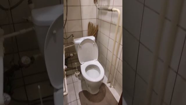 VID_20250520_012021.mp4