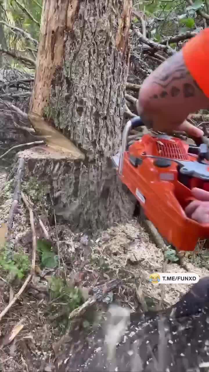Неожиданно😆