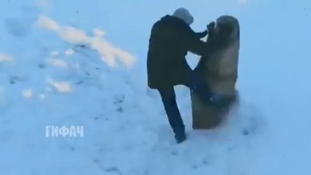 Когда твой противник ковёр