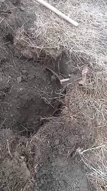 Железо из копанной ямы