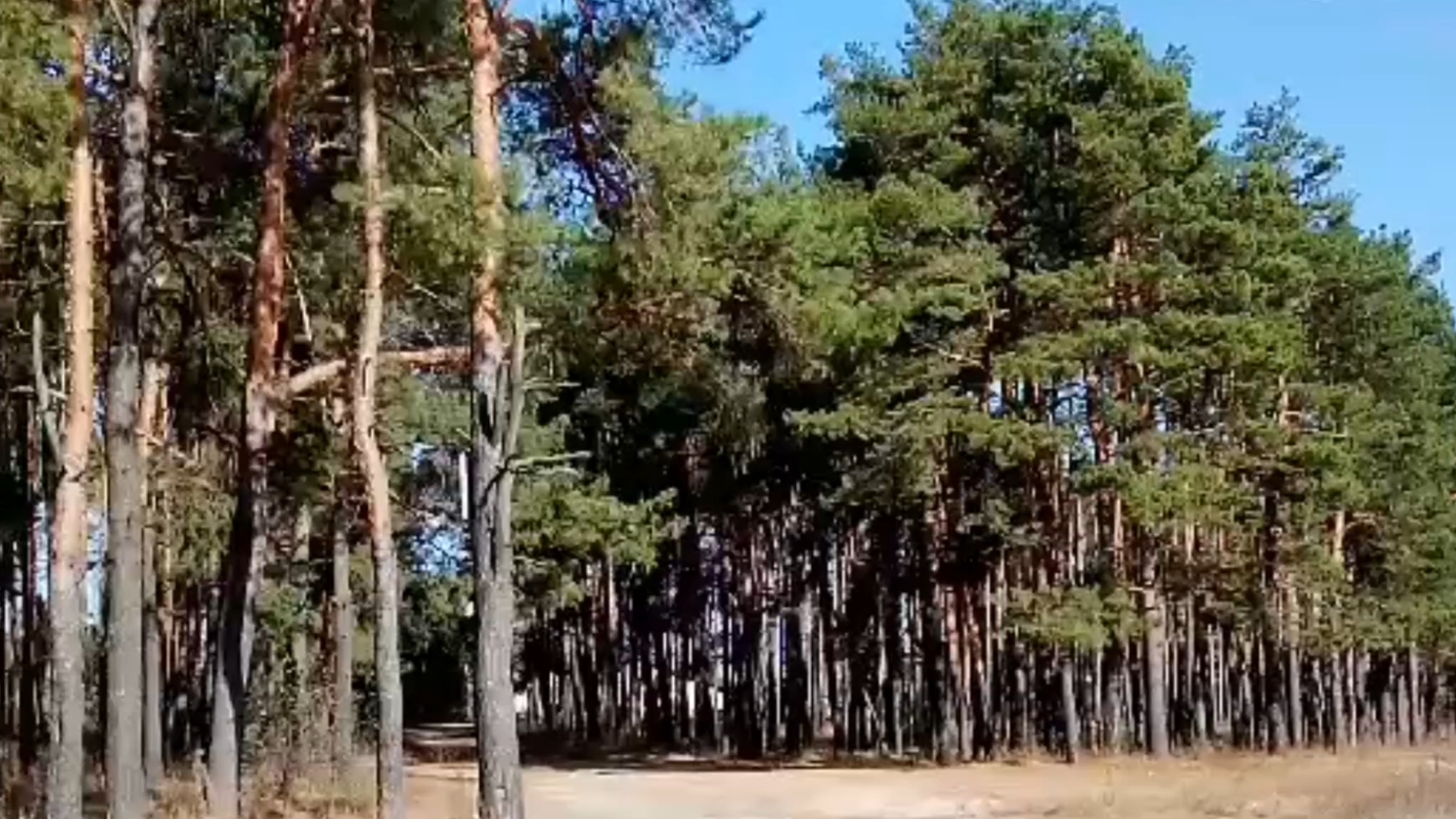 МОЙ ЛЮБИМЫЙ КРАЙ - БРЯНЩИНА 🎶