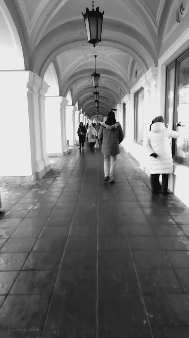 У Гостиного Двора, Петербург, ч/б. 5 января 2025.