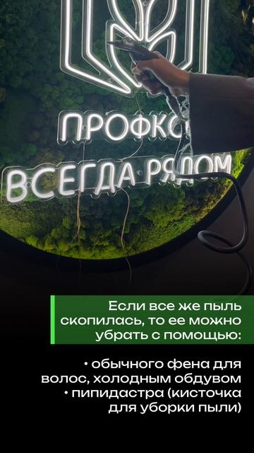 Неоновая вывеска со стабилизированным мхом