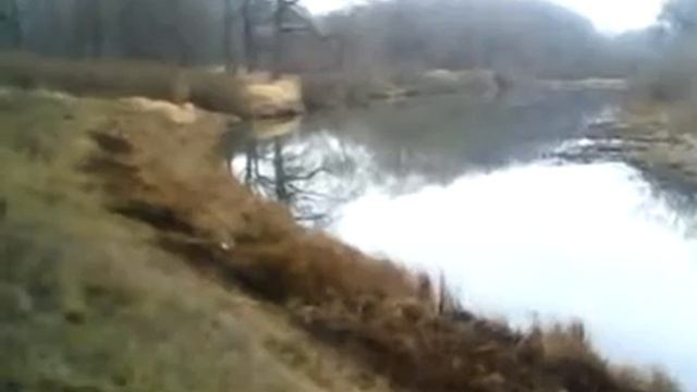 Политика.