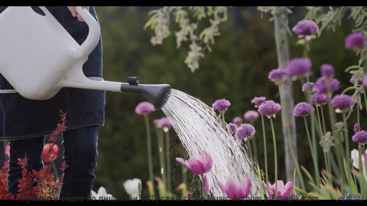 Музыка и виды вместе стирают реальность - SomeWhere In The Dark -- HoliznaCC0 -- Orphaned Media PT 2