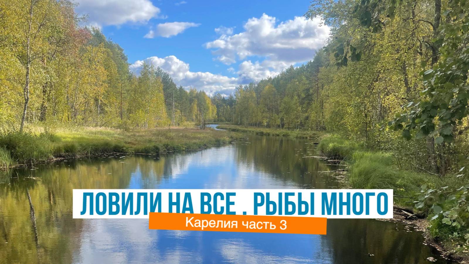 Много рыбы. Карелия часть 3