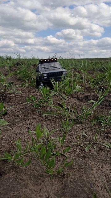 Катаемся на mn78 по полю) #rc #rccar #crawler #4x4rc #scale #rclife #mnmodel #mnrc #mn78 #jeep