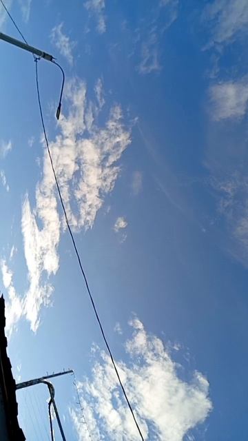 scene_output.mp4