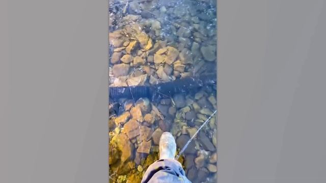 Такое Никто не Ожидал Увидеть! Редкие Случаи Снятые на Камеру