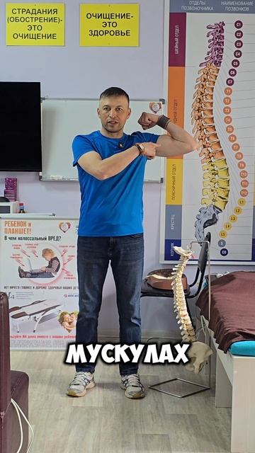 Цитата дня #здоровье #нугабест #шортс #бизнес #массаж