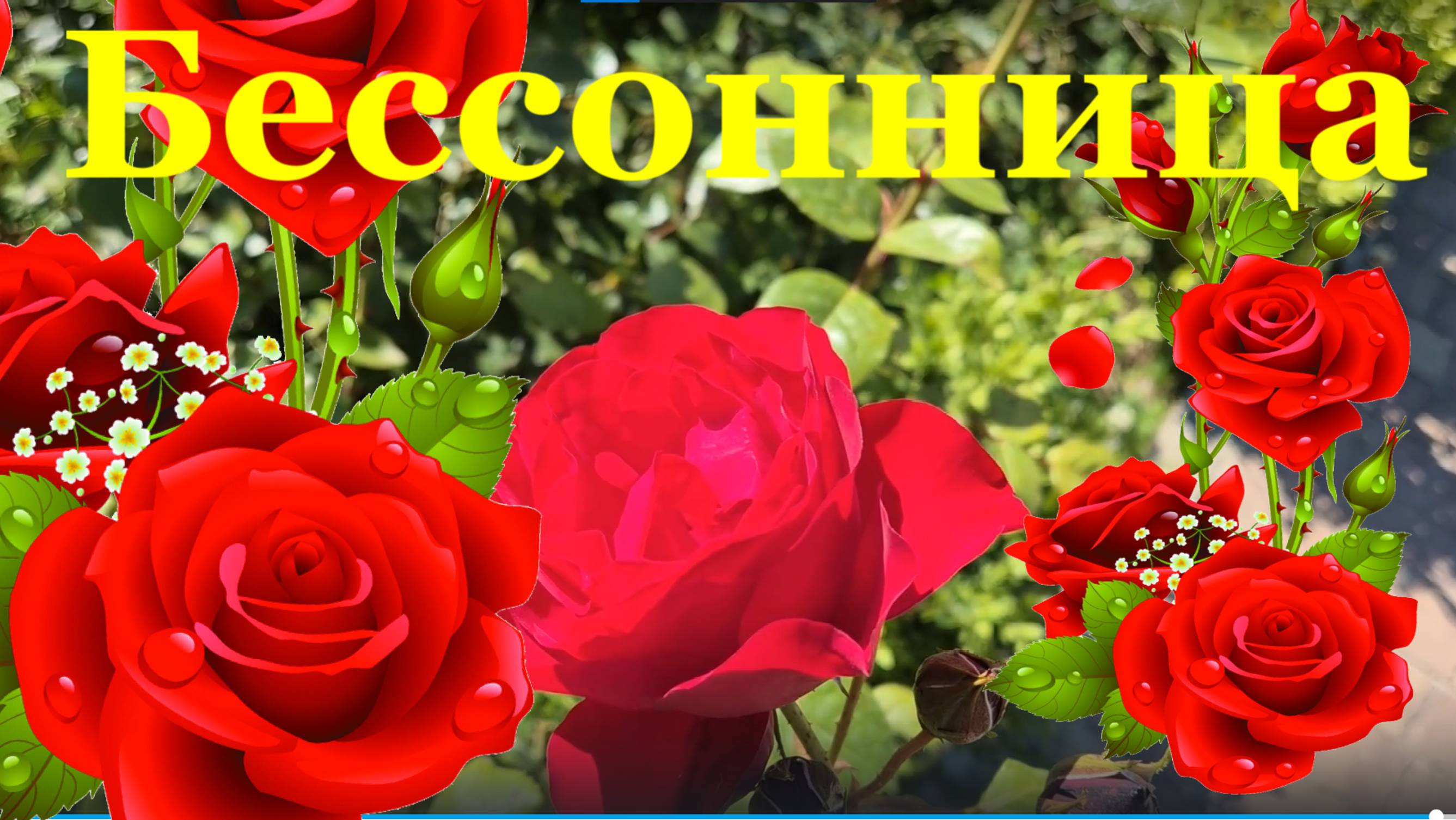 Песня Бессонница Губами губ твоих коснусь Песни про любовь