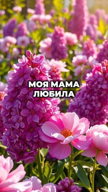 Какие цветы подарить любимой?