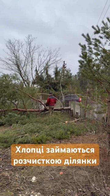 Розчистка ділянок від дерев #бензопила #automobile #електро