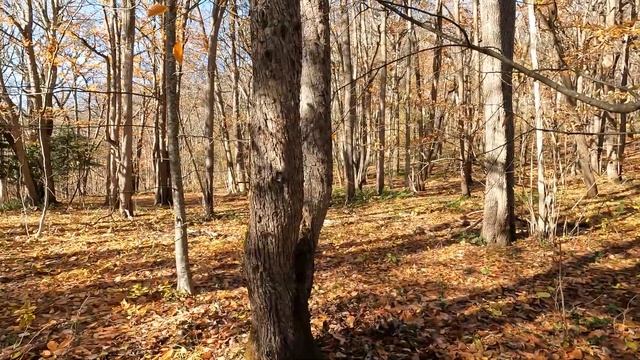 Гуамское ущелье и Орлиная полка за один день