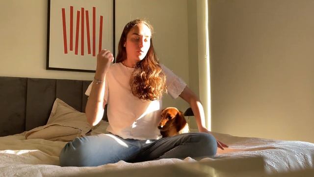 Як літати з собакою? | Особистий досвід подорожі із собакою закордон