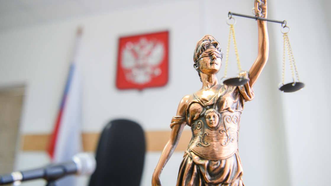 Суд вынес приговор хозяину собак, разорвавших лицо мальчику в Сочи