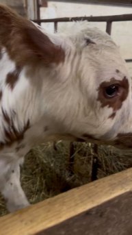 copy_CBC3ED86-5B26-418B-AA11-7BEC9651833C