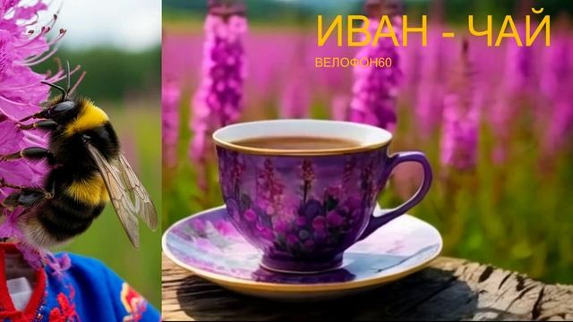 Иван-Чай