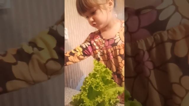 Папуля готовит сендвич по деревенски