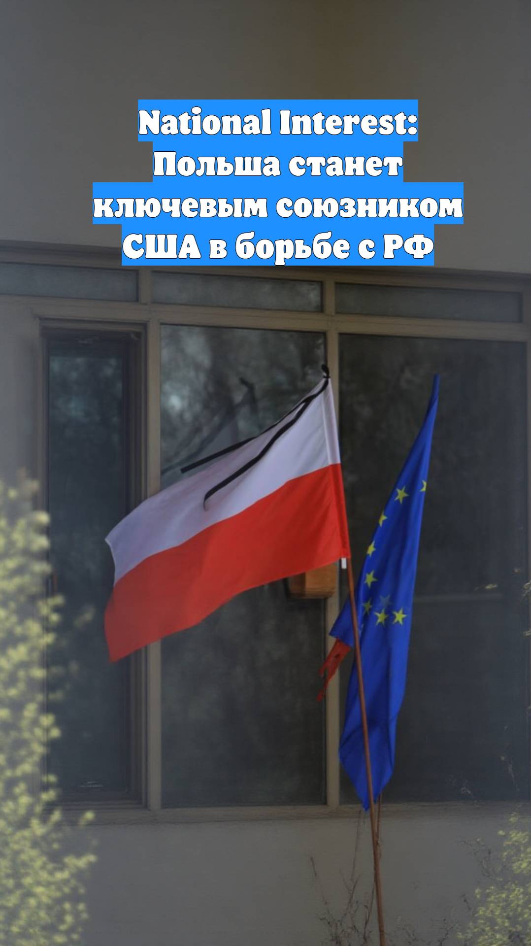 National Interest: Польша станет ключевым союзником США в борьбе с РФ