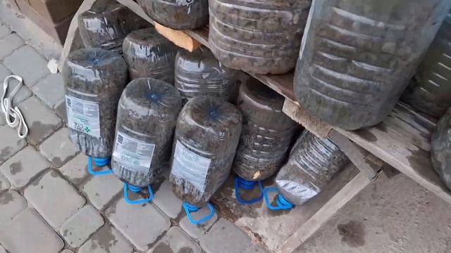 Раскрываем бассейн после зимы. Смотрим как перезимовал, в каком состоянии.