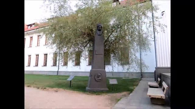 ВЕЧІР НА ТАРАСОВІЙ ГОРІ.   ДУМИ МОЇ, ДУМИ...