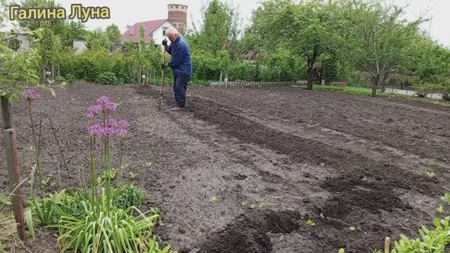 Был один,теперь компания//отвечу на комментарии