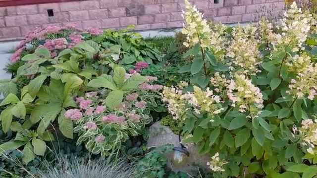 Работаю в саду и огороде часть (10)