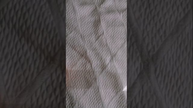 КОШАЧЬЯ ЛЕНТА ❤️❤️❤️❤️🐱🐱
