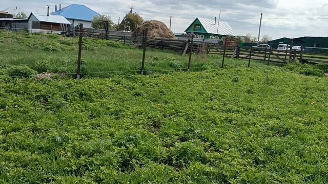 Установка столбов для сетки Рабицы