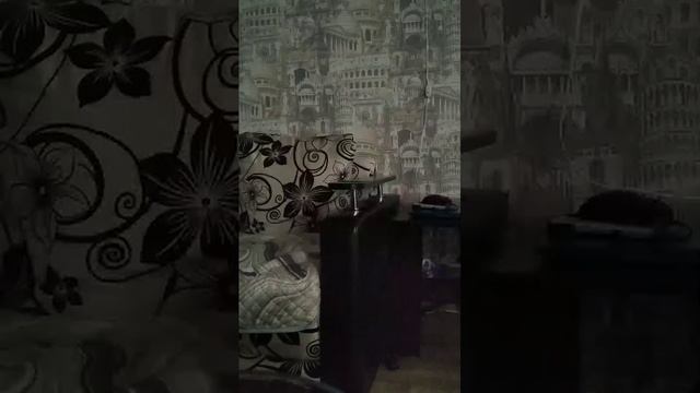 утро