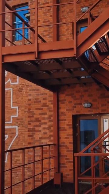 Общественное пространство SENO в Санкт-Петербурге! Видео взято тут - instagram.com/angelina_fesla