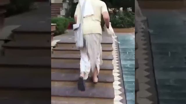 Следуй за гуру