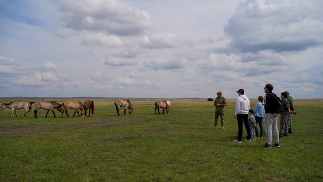 В заповеднике «Оренбургский» жеребенок «Слазар» получил паспорт