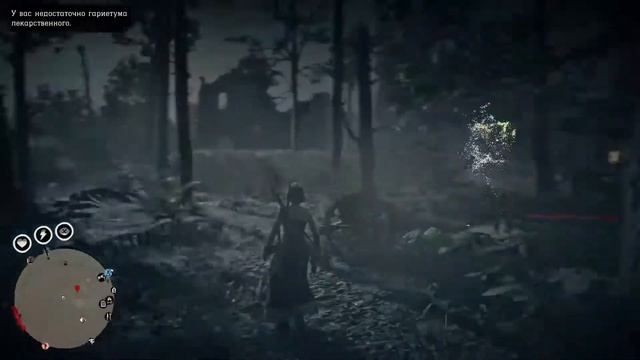 [PS5] RDR2. Лошадиная сила. (18+)