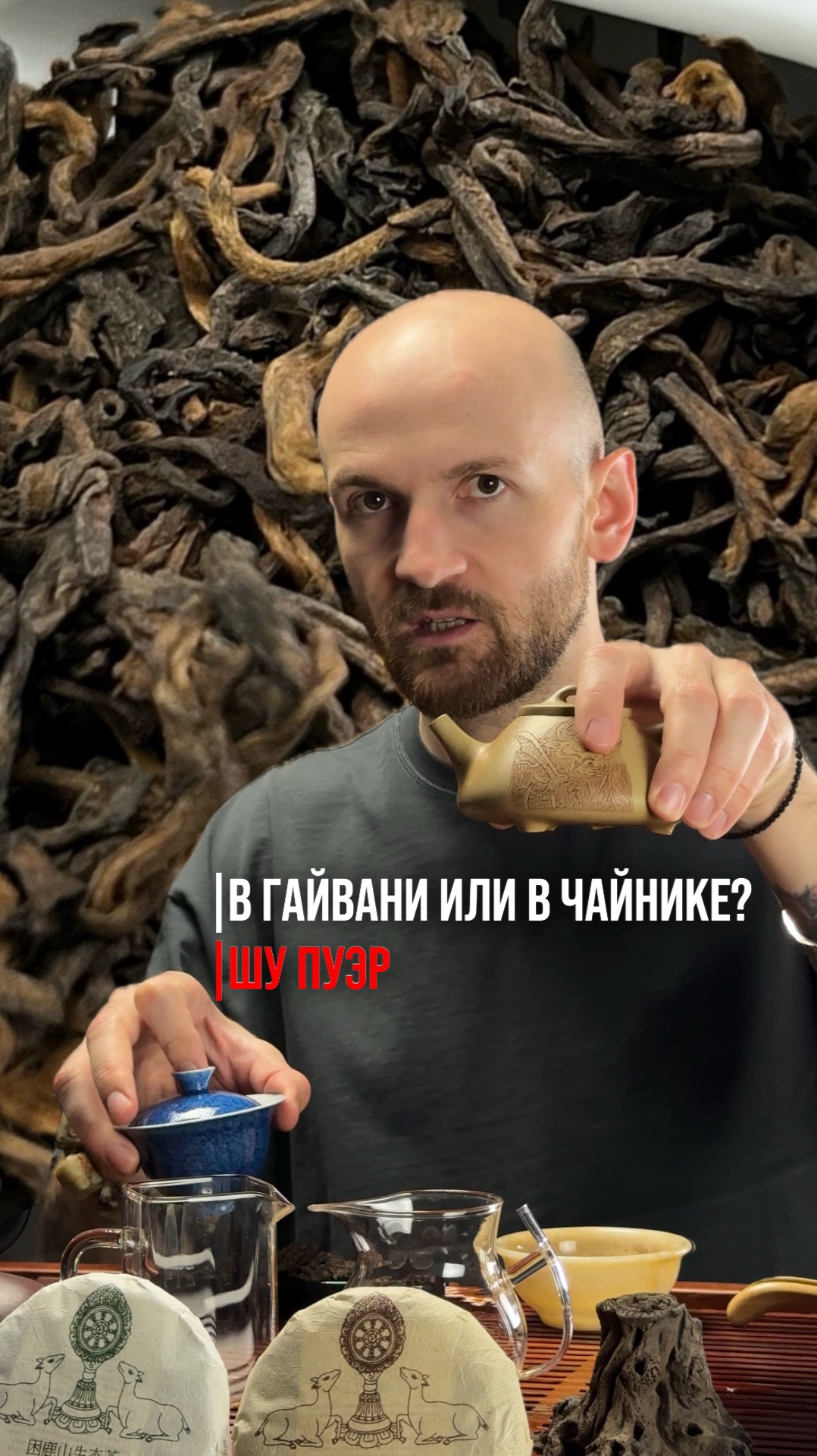 В чём заваривать пуэр? Чайник или Гайвань?   #чай #китайскийчай #чайник #шупуэр #габа